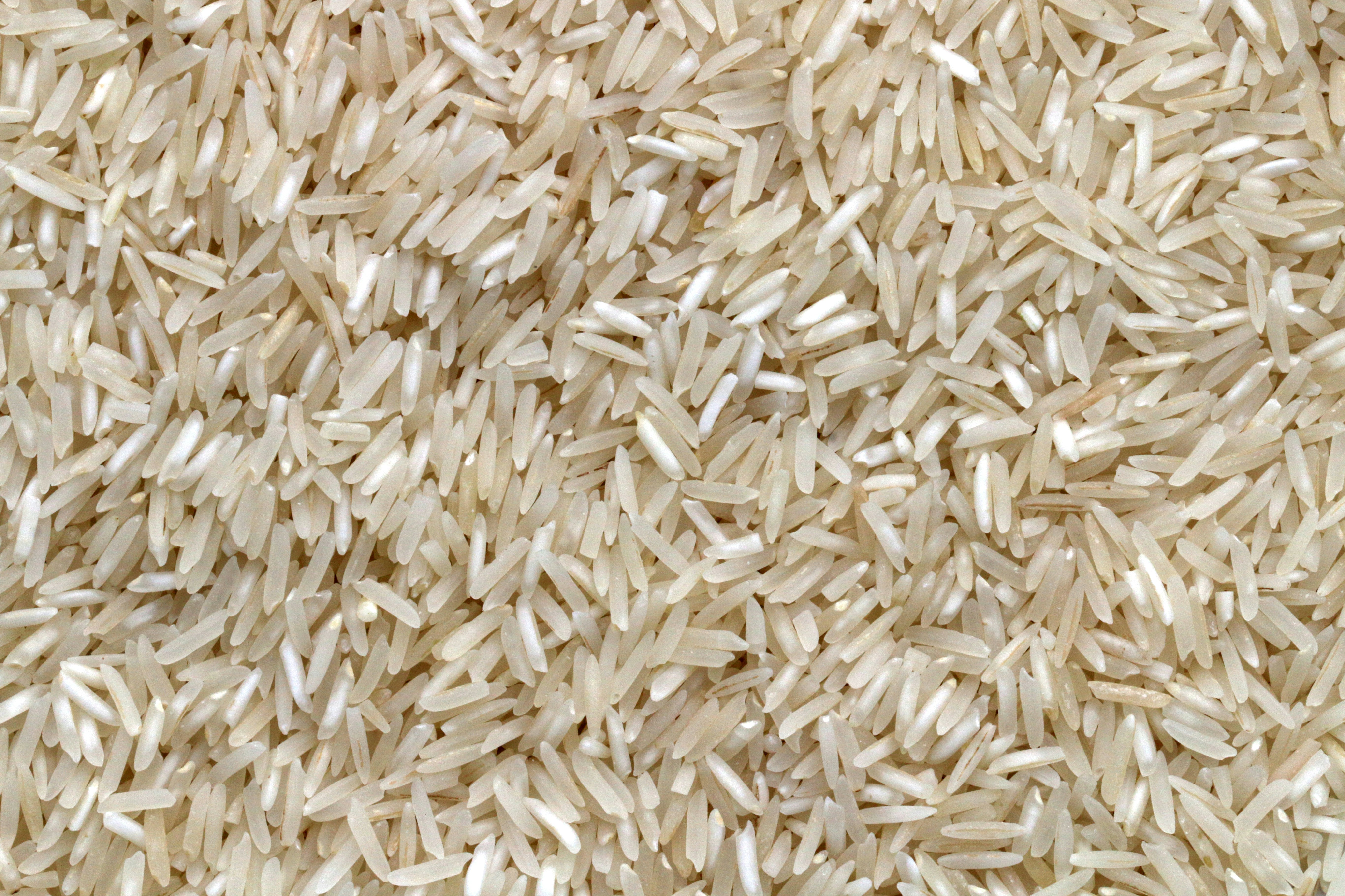 Premium Basmati Rice